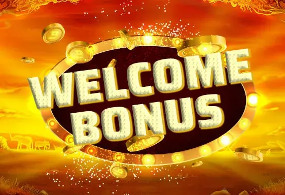 Malina welcome bonus